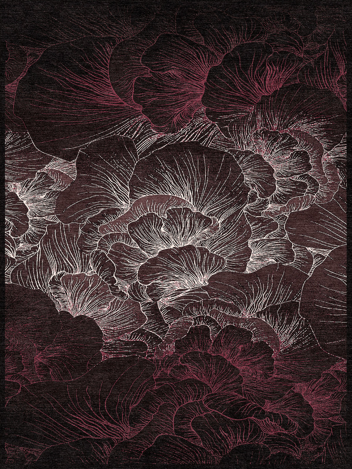 Signatures rug